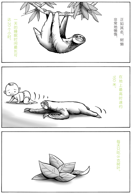 万万没想到居然有天要被动物教做人
