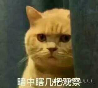 哪些表情包让你看一次笑一次?