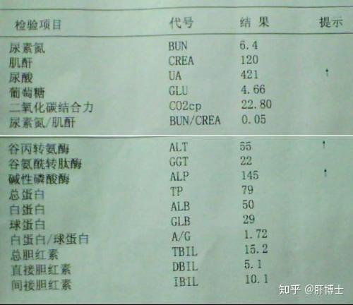 白蛋白和球蛋白