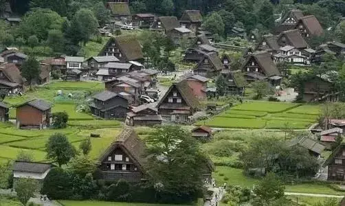 日本农业是如何玩转现代化?3点借鉴,10大玩法