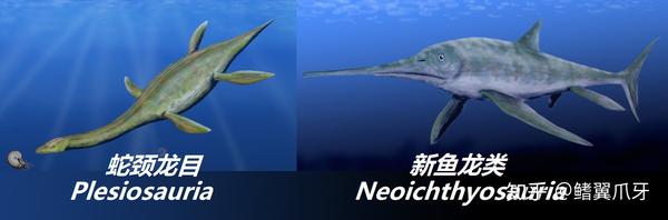进入侏罗纪,正当上龙先辈们磨刀霍霍向大洋之时, 泰曼鱼龙科( temno