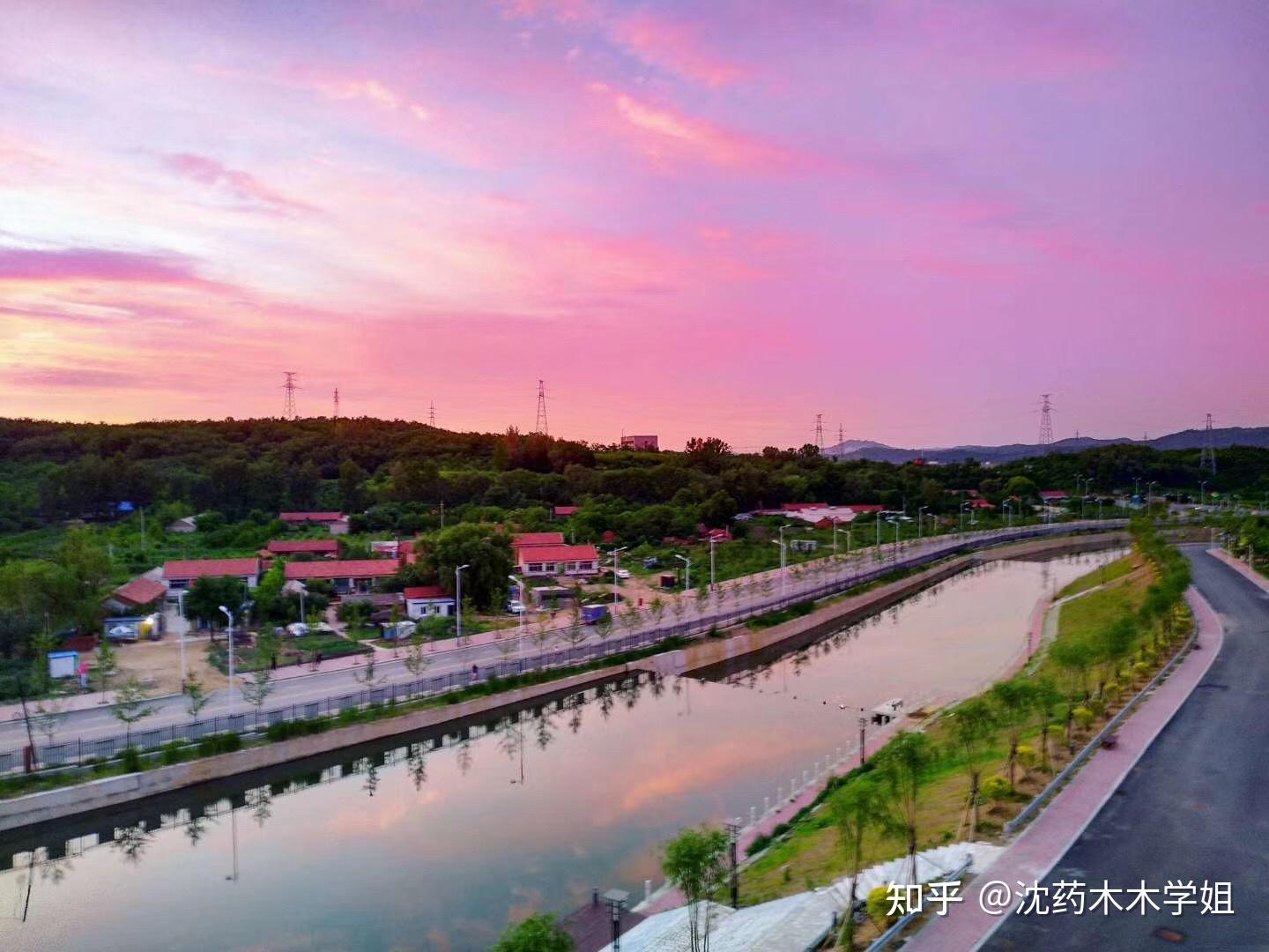 大美沈药沈阳药科大学校园美景随手拍