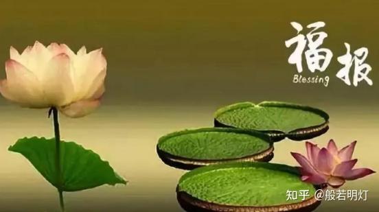 父母如何为儿女积累福报?看完我大彻大悟!