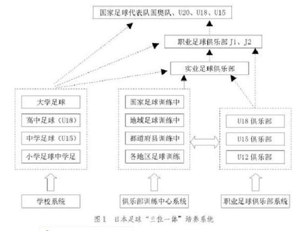 双轨制下,三位一体的培养系统