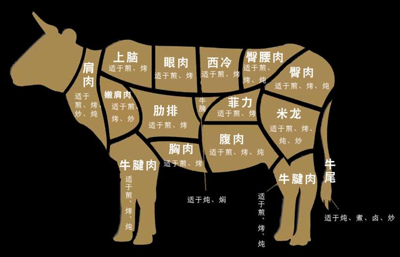 麟州食品科普——最完整牛肉部位切割知识