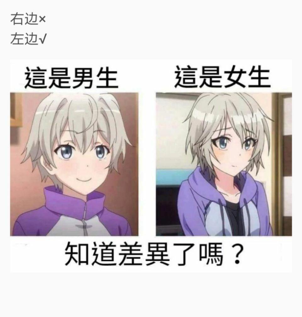 动漫中有哪些画男硬说女的角色