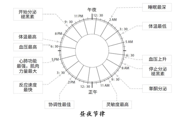 我们的生物钟是根据一些外部线索而设定的,其中最主要的是 日光,此外