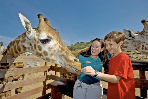 圣地亚哥野生动物园 图片版权:圣地亚哥旅游局