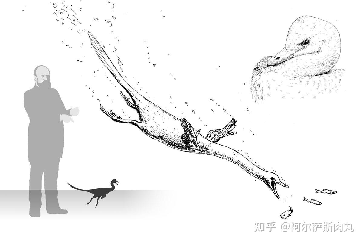 legendofcretaceous丨白垩传8龙驰天下下