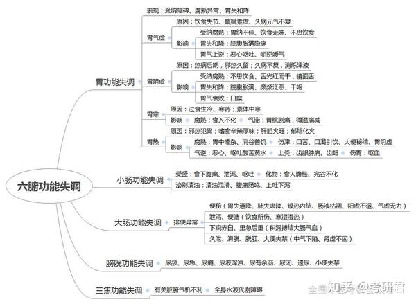 【中医考研】20张超全思维导图,让你吃透脏腑知识重难