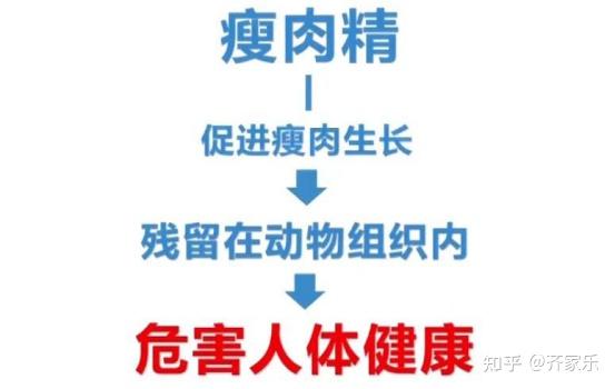 央视曝光瘦肉精羊肉人吃了瘦肉精的肉会怎样