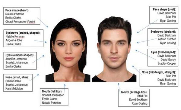 英国科学家研究出来的英国人心目中标准长相