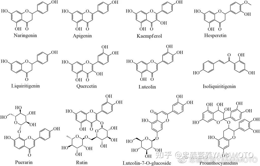 忠义营养yamamoto研究进展植物功能食品在免疫增强剂开发中的潜力