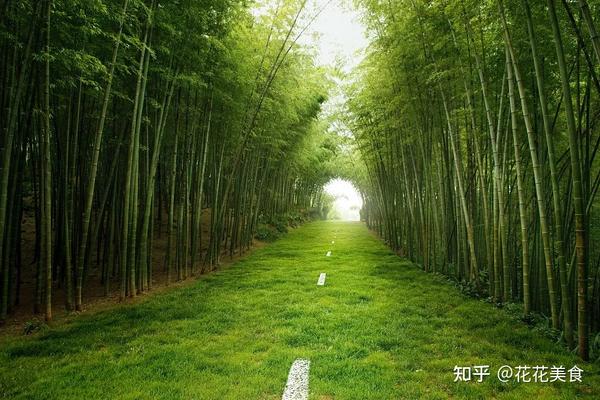 因相像而相知,因相知而相合 君子与竹,千年轮转,终究不散.