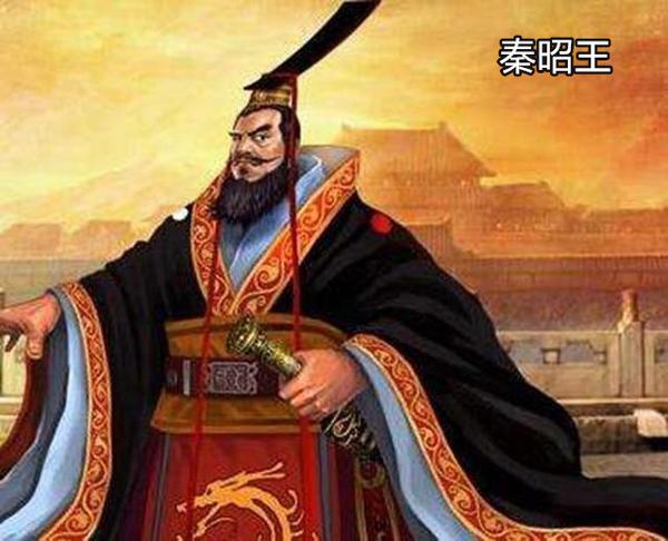 于是赵国才放了子楚的夫人赵姬和儿子政回到秦国.