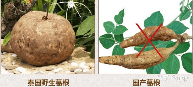 葛根和泰国野葛根有区别吗