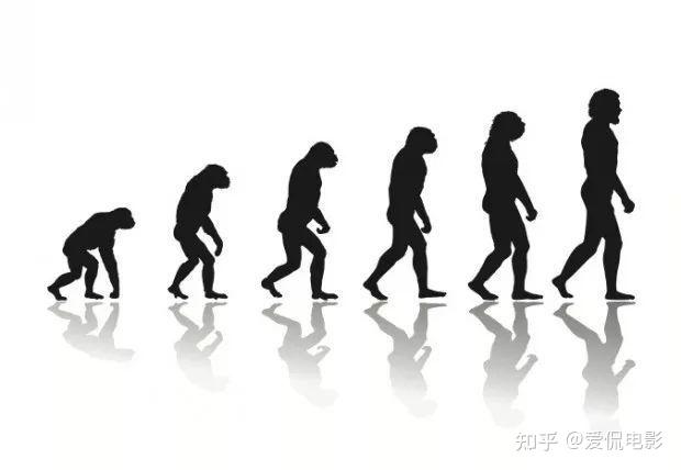 为什么进化论会遭到质疑