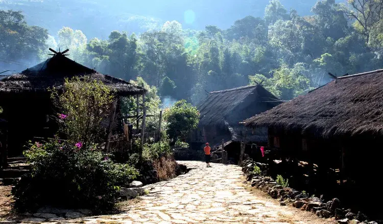 翁丁 zhuanlan.zhihu.com