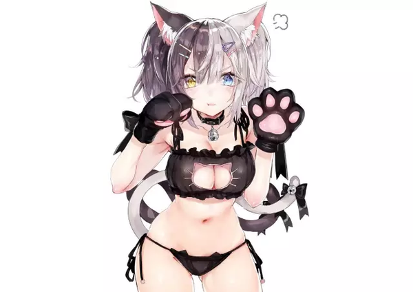 猫娘是什么 zhuanlan.zhihu.com