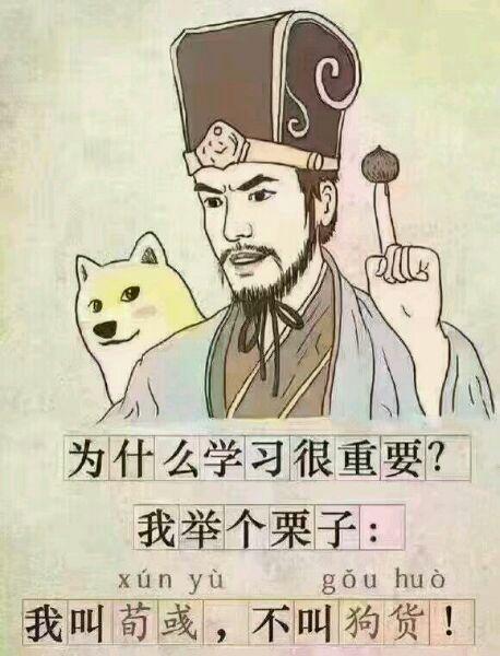 哪个瞬间让你突然觉得读书真有用?