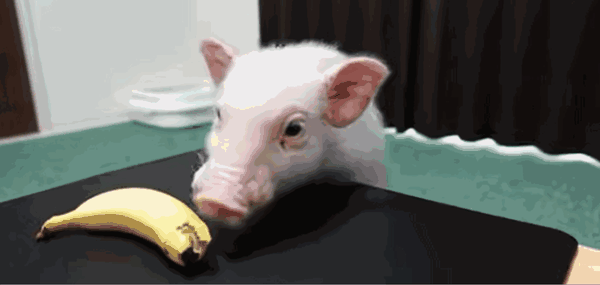 1080_513gif 动态图 动图