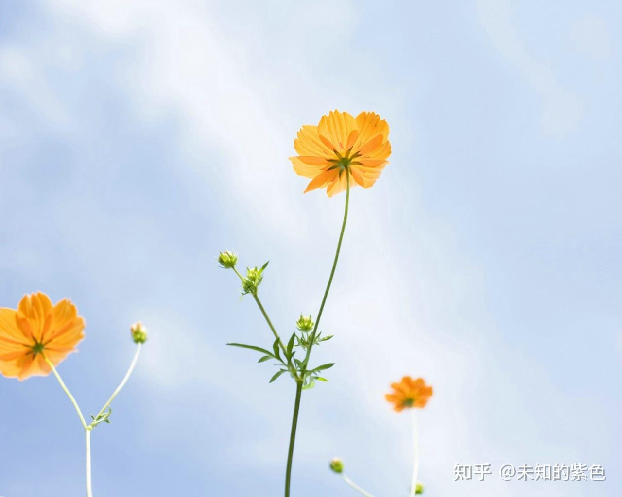 对你来说简单的快乐是什么