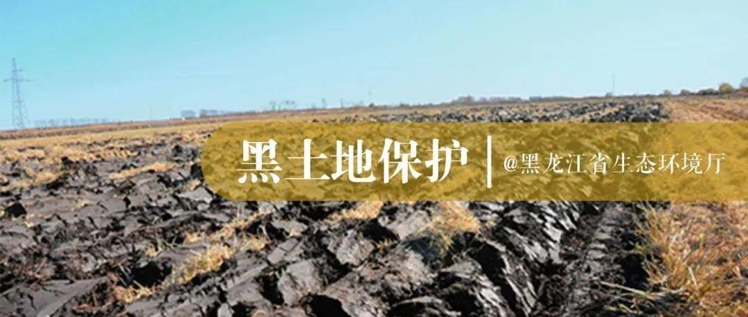 黑土地保护丨深埋秸秆滋养田(《了望》新闻周刊)