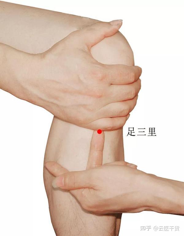中脘穴(位置:位于人体上腹部,位于正中线上,心口窝与肚脐连线的中点