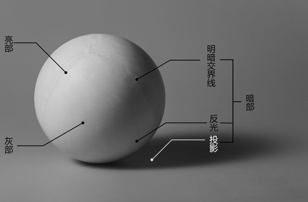 五大调子分为亮部,灰部,明暗交界线,反光,投影.