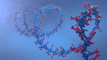 pnas基于片段发现靶向rna的生物活性小分子