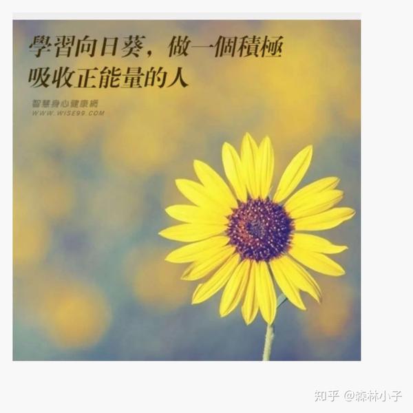 善待他人就是善待自己