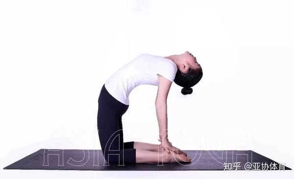 瑜伽跪姿有什么好处知道真相的我立马跪下了