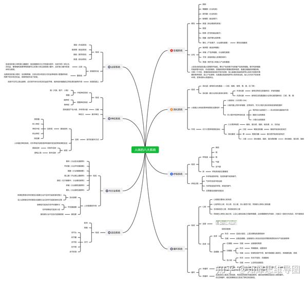 初一生物下册思维导图人体八大系统七年级生物教育