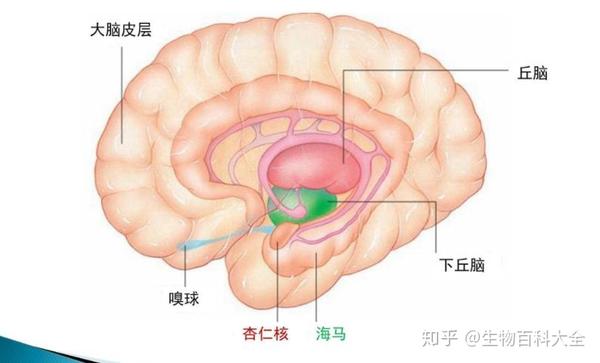 别回头!