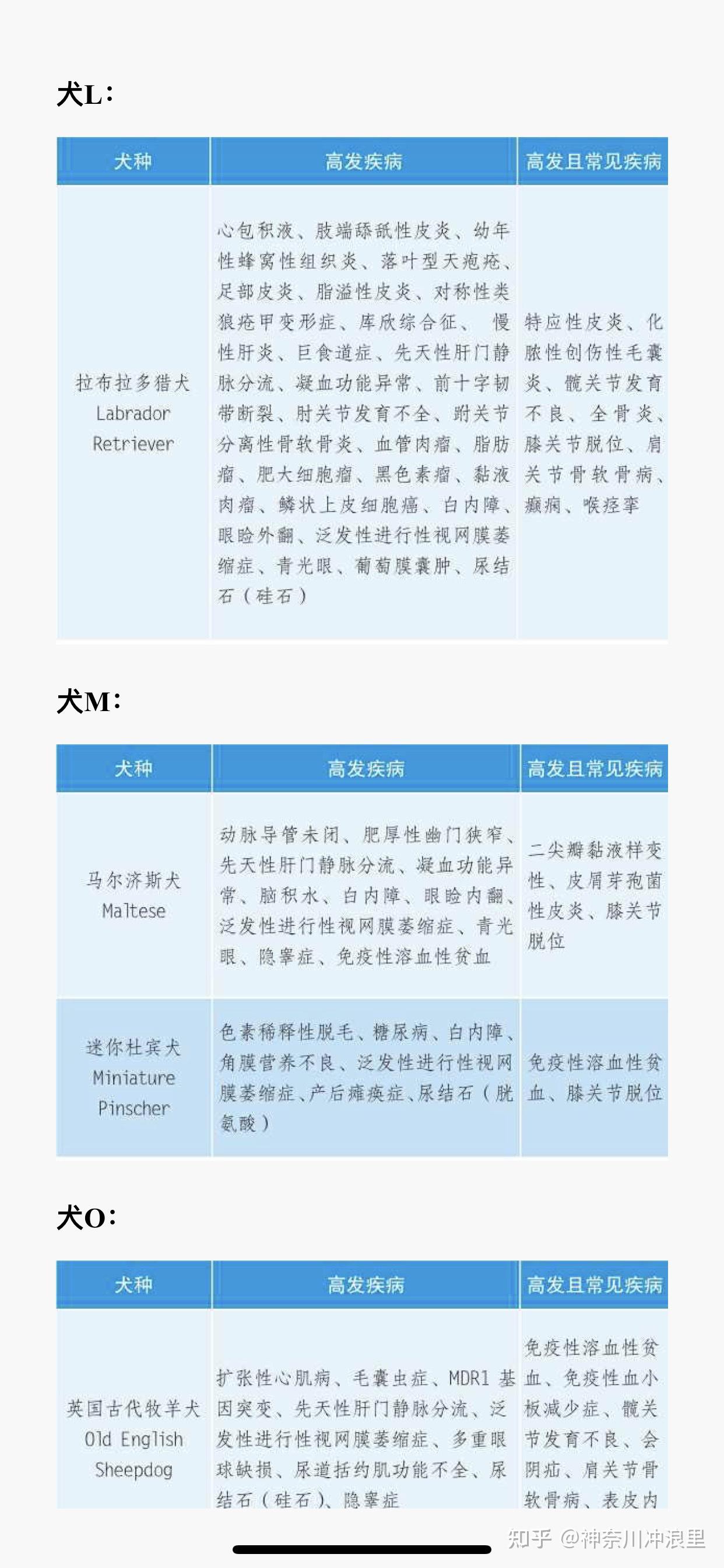 狗狗成长表
