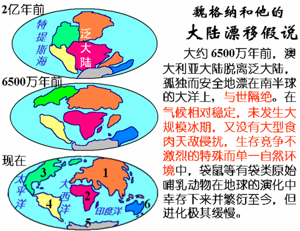 1912年,魏格纳提出大陆漂移.