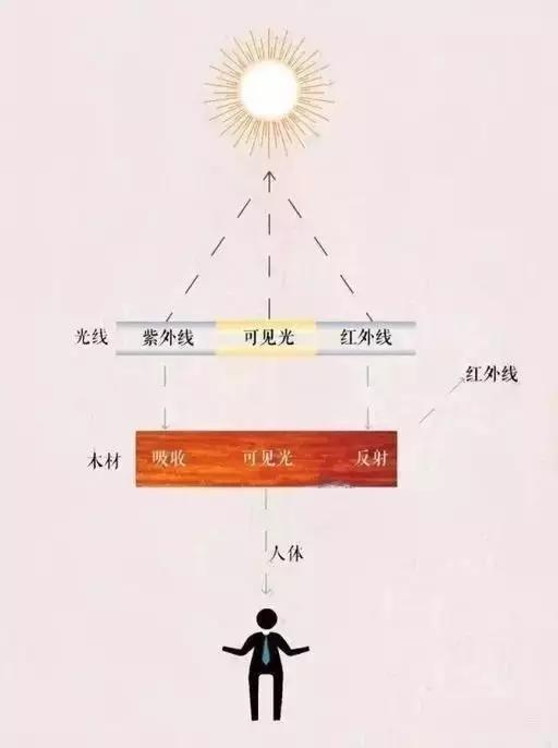 是因为木材可以吸收阳光中的紫外线(380nm以下),减轻紫外线对人体的