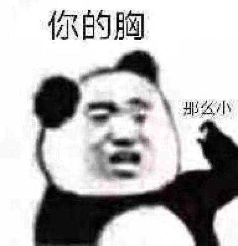 嘲讽平胸专用 抱歉~自从下载从没用过…          赞同    添加评论