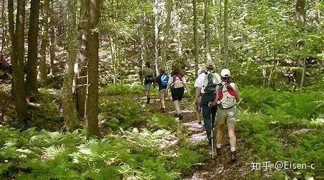 hiking"别人才能get到你是正常的爬山～不要再说 climb mountains啦!