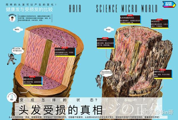 1.头发护理的基本原理