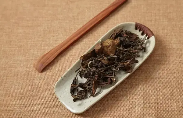 多喝老白茶,让年龄变成秘密