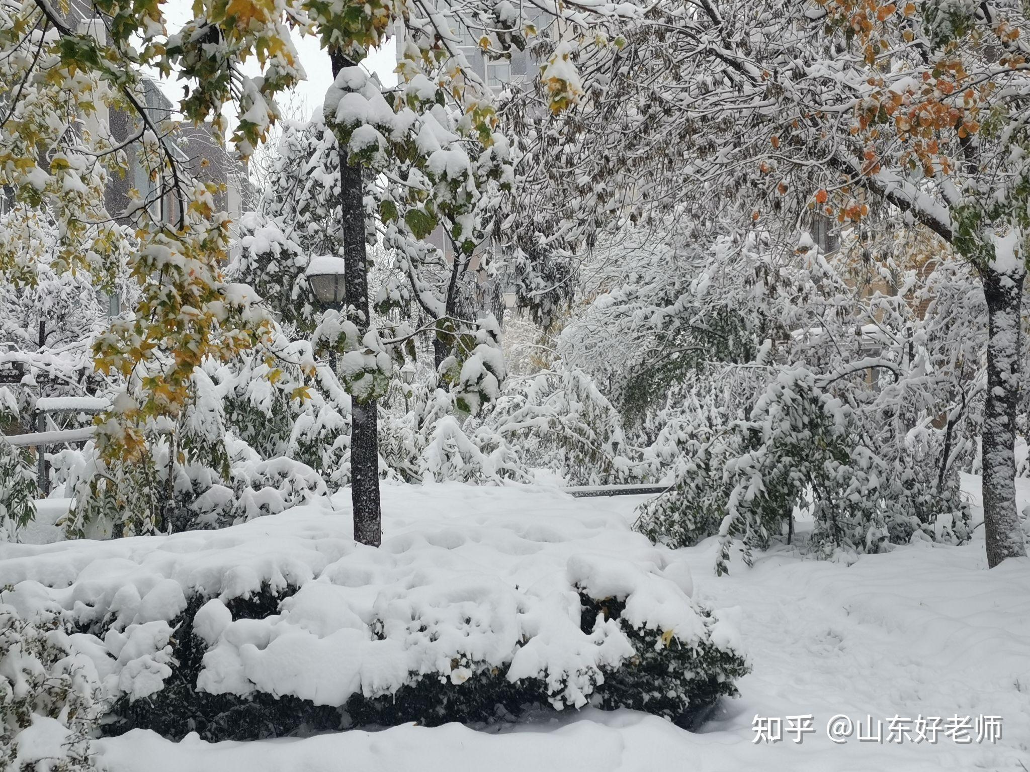 济南2021年的第一场大雪有点突然