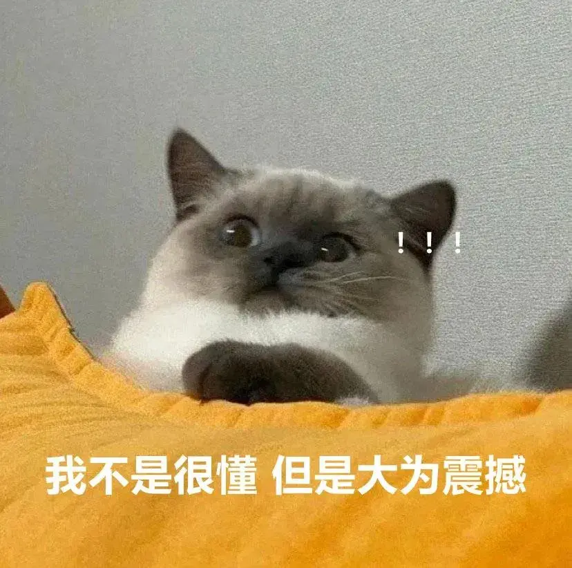 138张特别可爱猫猫的动态图或表情包