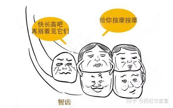 你的戏精智齿,总有一天会挑起你疼痛的神经!