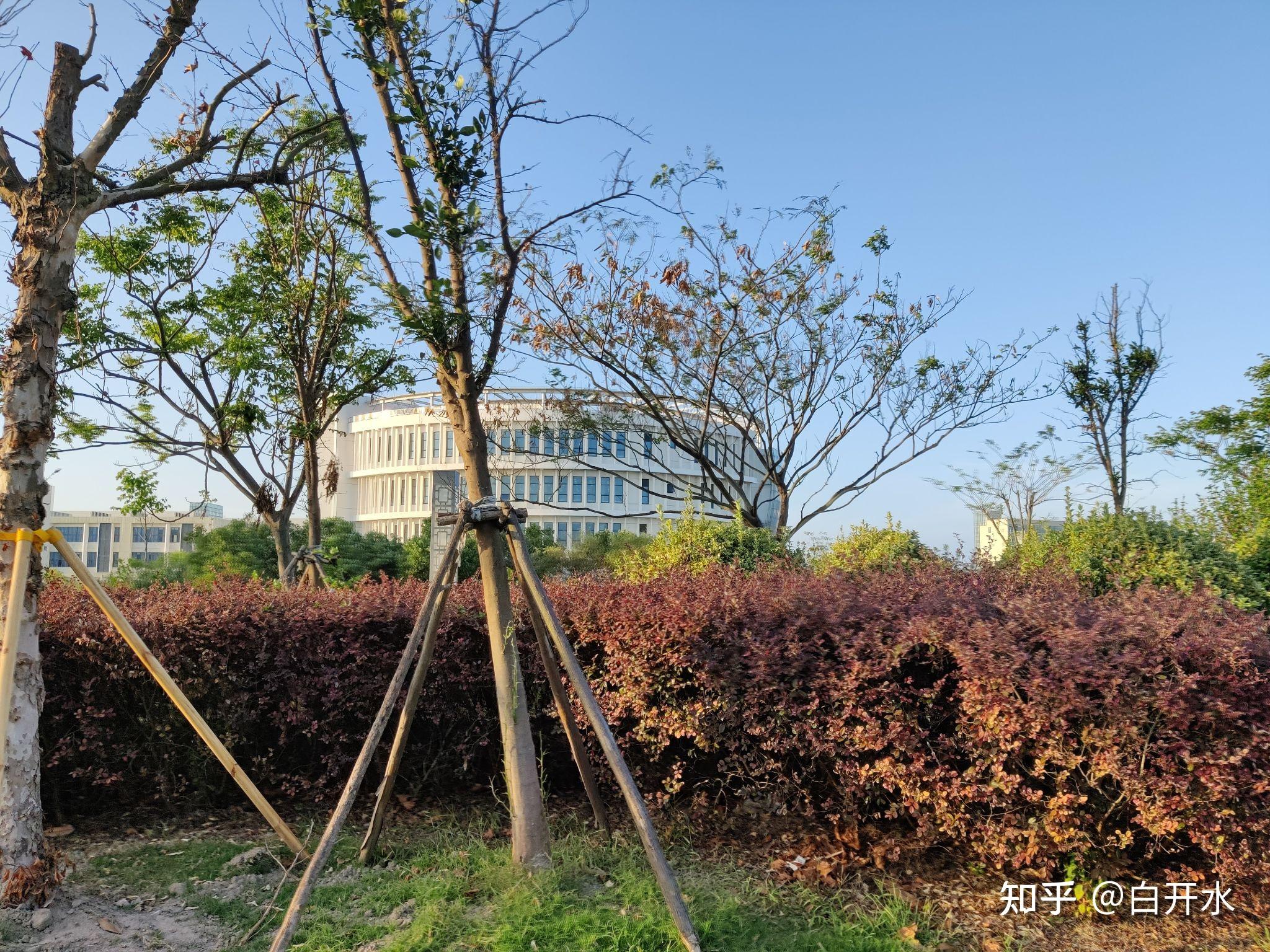 南通大学杏林学院怎么样