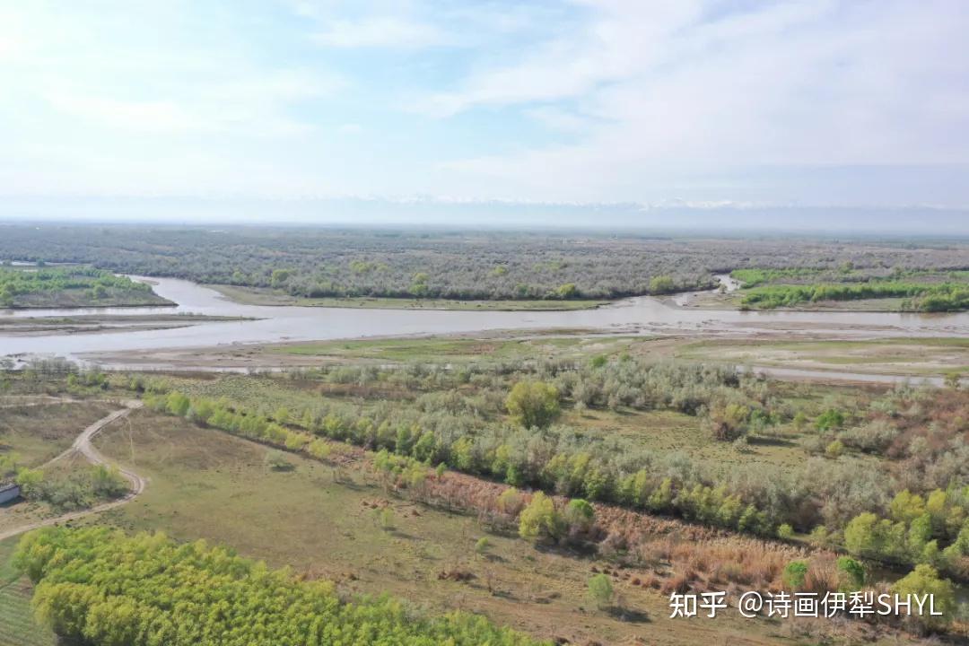 霍城伊犁河谷湿地公园