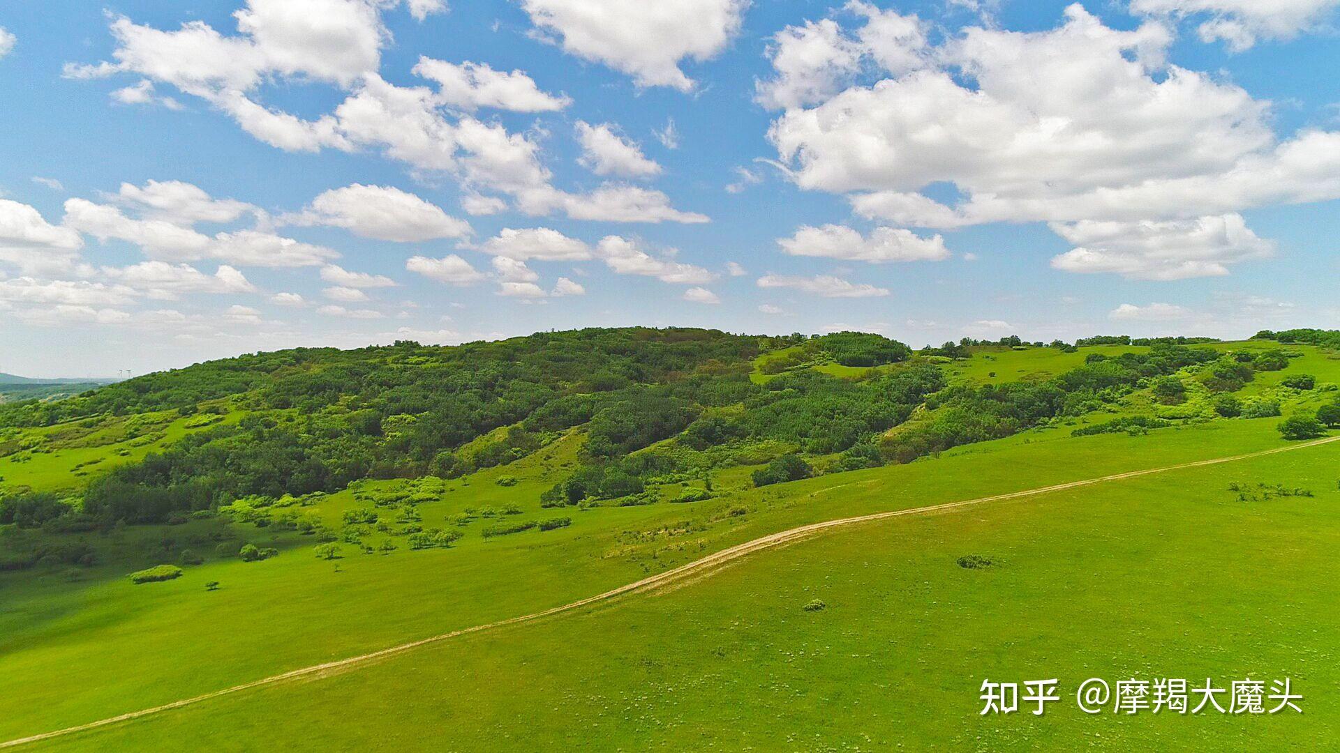 去大草原撒欢御道口草原森林风景区