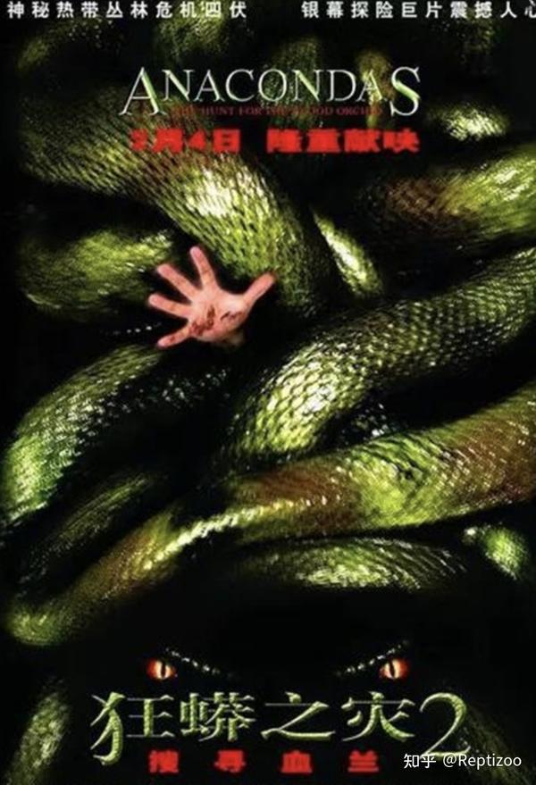别被骗了你并非天生怕蛇