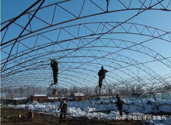 哪些情况会被拆除?农村大棚房政策解读