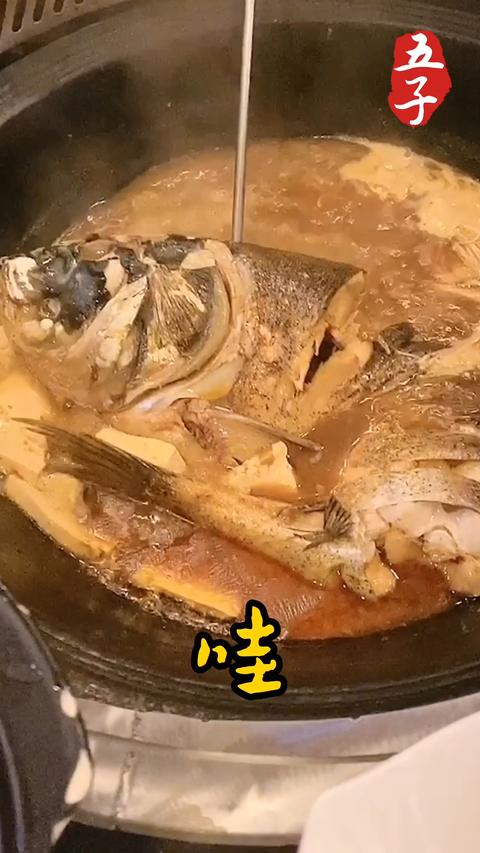 五子眼中的世界